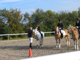 2011 Sommerturnering